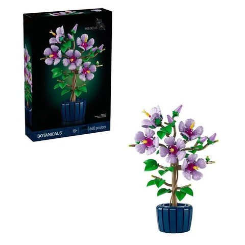 Hibiscus 10372