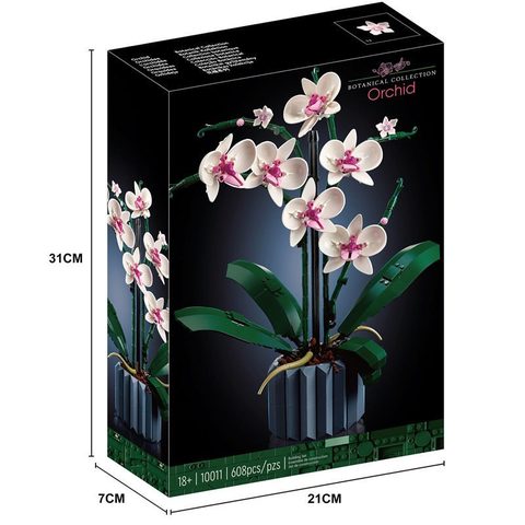 Orchid 10311